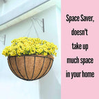 LaLaGreen Hanging Baskets for Plant Outdoor (20 Inch, 2 Pack) Extra Large Black Metal Wire Hanging Planter with Coco Liner Round Flower Pot Holder Hanger Deck Porch Modern Garden Balcony Country Decor