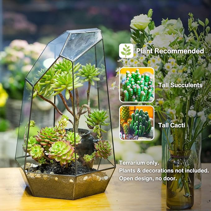 NCYP No Door Large Geometric Terrarium - 16 Inches Irregular Open Glass Terrarium Pot for Tall Cacti, Tall Succulents - Home Garden Tabletop Decoration (NO Plants)