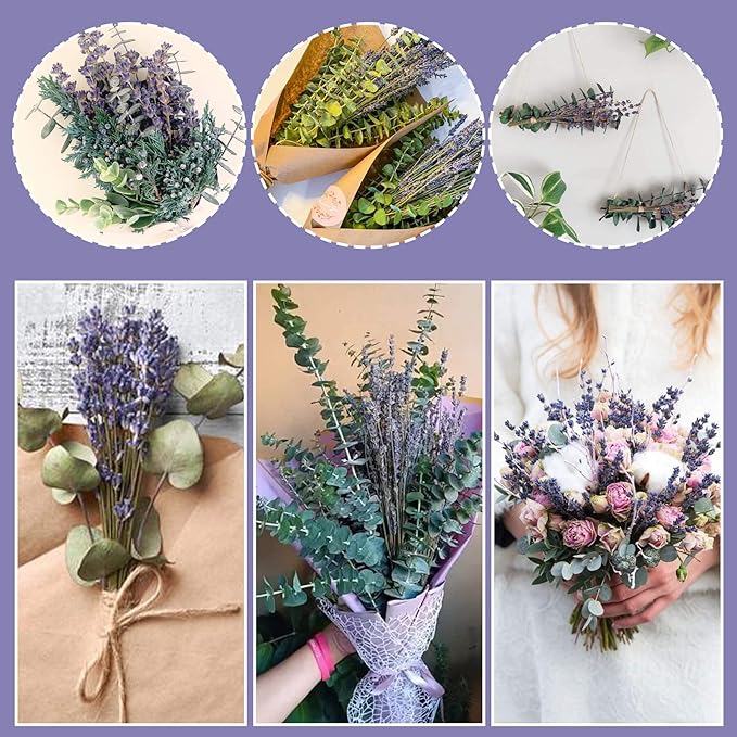 70PCS Preserved Eucalyptus Stems & Dried Lavender Bundles for Shower, 17'' Natural Real Live Eucalyptu Leaves Greenery Hanging Lavender Flowers Shower Plant, Fragrance, Vase Decor