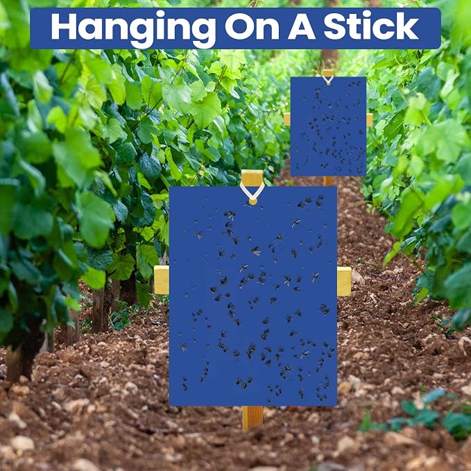 Qualirey 50 Pcs 6x8 Inch Blue Sticky Traps for Thrips Double Sided Sticky Trap for Gnats Plant,Pest Control for Fungus Gnats, Thrips, Whiteflies with Twist Ties