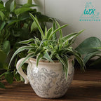 Vintage Flower Pot Rustic Planter Container with Handle Ceramic Ice Crack Plant Pot with Drainge Hole Decorative Planter for Indoor and Outdoor Tuscan Decor Vase Gardening Gift (Grey)
