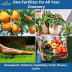 Gardenwise 20-20-20 Water-Soluble Fertilizer – Powder for Liquid Plant Food for Indoor & Outdoor Plants, Orchids, Vegetables, Lawns, Flowers – 20 20 20 Fertilizer (8 oz)