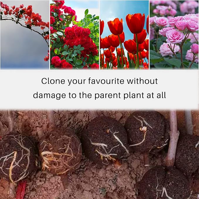 12 PCS Plant Root Growing Box, Reusable Air Layering Propagation Kit Rooting Ball Grafting Tools for Plant Propagation (4S+4M+4L)