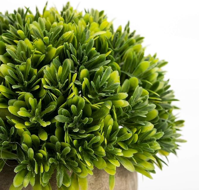 Velener Artificial Boxwood Faux Plant Indoor- Topiary Small Desk Plant Decor for Bedroom Office Cubicle Shelf Decor Window Will Plant Shelf Decoration Dorm Kitchen Counter, Farmhouse Home Decor Accent