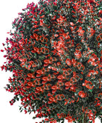 2 Pack 24" Red Rose Boxwood Topiary Ball Trees with Ground Stakes– UV Resistant Fake Shrubs & Bushes for Outdoor Porch, Front Door & Garden Planter Decor