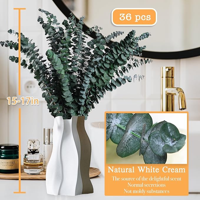 Dried Eucalyptus for Shower Hanging - 17'' Real Large Preserved Eucalyptus Stems Green Home Decor, 100% Made from Fresh Eucalyptus Leaves, Bathroom Shower Decor, Wedding, DIY (36PCS)