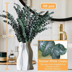 Dried Eucalyptus for Shower Hanging - 17'' Real Large Preserved Eucalyptus Stems Green Home Decor, 100% Made from Fresh Eucalyptus Leaves, Bathroom Shower Decor, Wedding, DIY (36PCS)