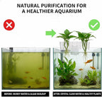 2 Pack Hanging Aquarium Plant Holder – 7-Hole Fish Tank Plant Pot for Pothos & Aquatic Plants, Floating Plant Corral, Aquascape Decor, Rim Plant Holder (Transparent)