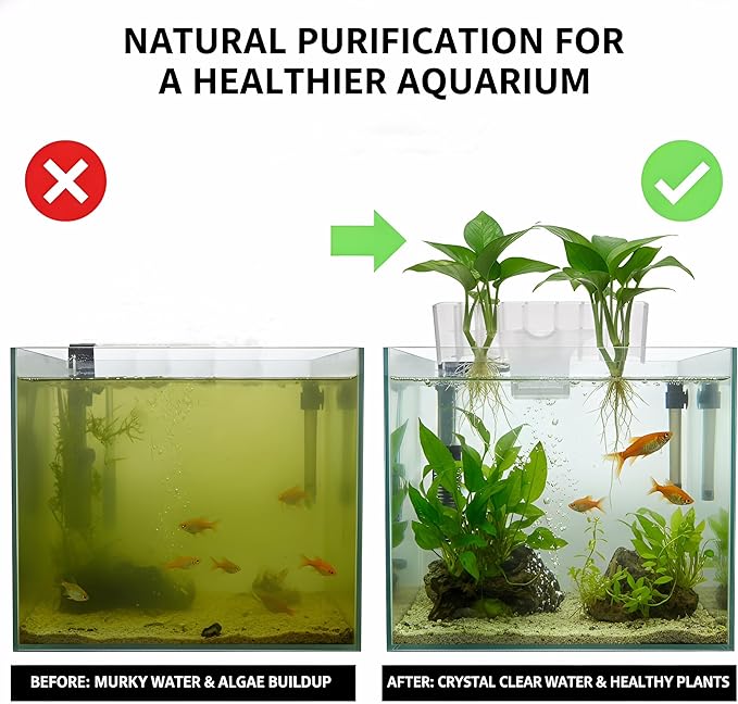 2 Pack Hanging Aquarium Plant Holder – 7-Hole Fish Tank Plant Pot for Pothos & Aquatic Plants, Floating Plant Corral, Aquascape Decor, Rim Plant Holder (Transparent)