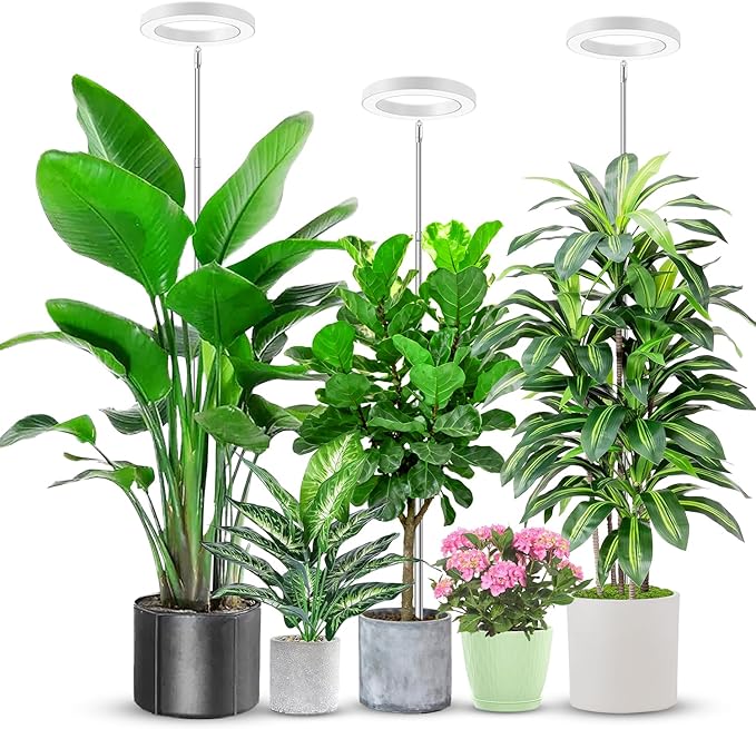 6.3in Grow Light, 80 LED Full Spectrum Halo Plant Lights for Indoor Growing, Height Adjustable 10"-65" Growing Lamp, Auto Timer 6/12/16Hrs, 3 Lighting Modes, Idea for Large Plant, 3 Pack