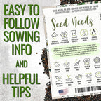 Seed Needs White Baby's Breath Seeds for Planting - Heirloom & Open Pollinated Annual Flowers - Perfect for a Butterfly Garden, Bouquets & Floral Arrangements (1 Pack)