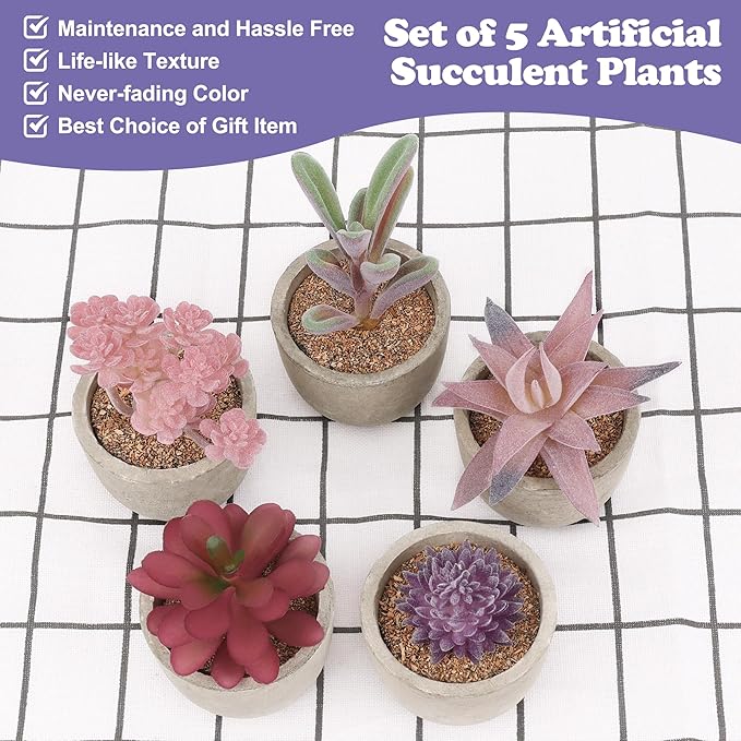 Coitak Artificial Succulent Plants Potted, Assorted Decorative Faux Succulent Potted Fake Cactus Cacti Plants with Pots, Set of 5 (Purple)