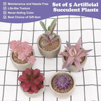 Coitak Artificial Succulent Plants Potted, Assorted Decorative Faux Succulent Potted Fake Cactus Cacti Plants with Pots, Set of 5 (Purple)