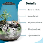 SubstrateSource Bio Cylinder - Glass Plant Terrarium Kit - Glass Terrarium w/LED Grow Light, Adjustable Ventilation Lid, Substrate, Moss & Accent Rocks - Bio Bowl 175