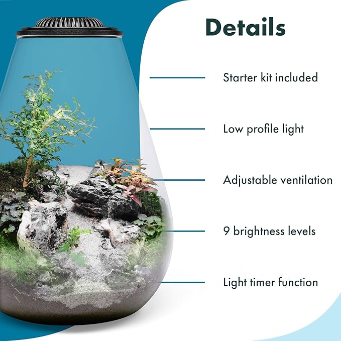 SubstrateSource Bio Cylinder - Glass Plant Terrarium Kit - Glass Terrarium w/LED Grow Light, Adjustable Ventilation Lid, Substrate, Moss & Accent Rocks - Bio Bowl 175
