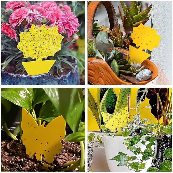 58 Pack Yellow Sticky Gnat Traps for Plants - Fungus Gnat Killer, Fruit Fly Traps for Indoors, Gnat Sticky Traps for Plants, Non-Toxic Kid and Pet Safe, Sunflower + Butterfly Shapes