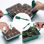 Qoolife Seed Starter Tray with Plant Light, 4 Pack Grow Lights for Seed Starting Kit with Humidity Domes, Timing Controller Adjustable Brightness for Greenhouse Propagator Station Planting Growing