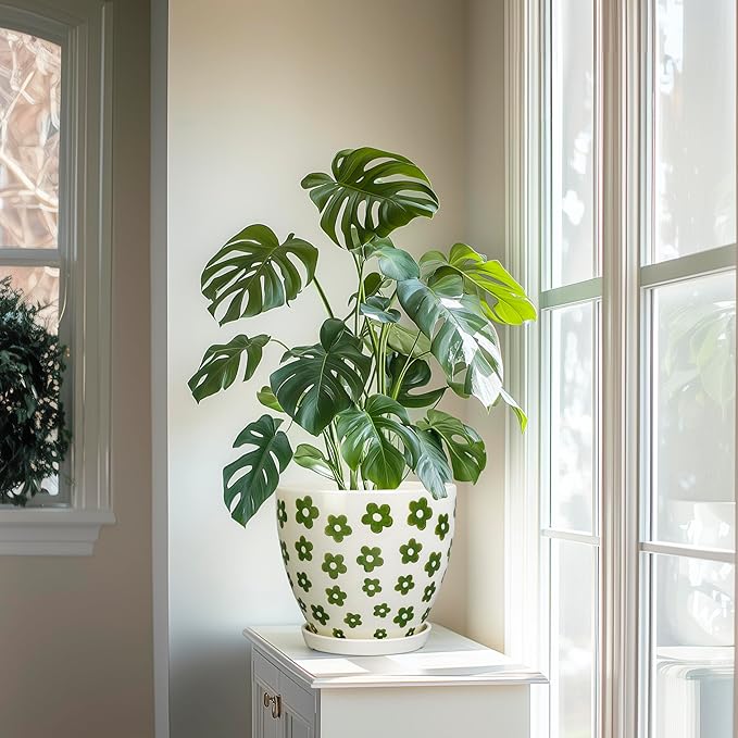 MPotTo 8.2 Inch Plant Pot - Ceramic Flower Pot Indoor with Drainage Hole and Saucer, Boho Round Decorative Planter for Indoor Plants, Housewarming Gifts, Office Garden Home Room Decor, White
