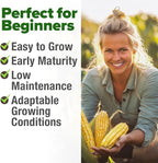 HOME GROWN Golden Bantam Sweet Corn Seeds 100+ Heirloom Non-GMO Seeds for Planting, High Germination, Yellow Kernel Corn on the Cob, Early Summer Harvest, Easy to Grow Home Garden Crop (Zea mays)
