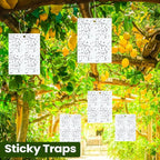 Qualirey 100 Pcs 6 x 8 Inch Sticky Traps for Plant Double Sided Sticky Trap for Gnats with Twist Ties Fly Traps for Fruit Insect Fungus Bugs Indoor Outdoor (White)