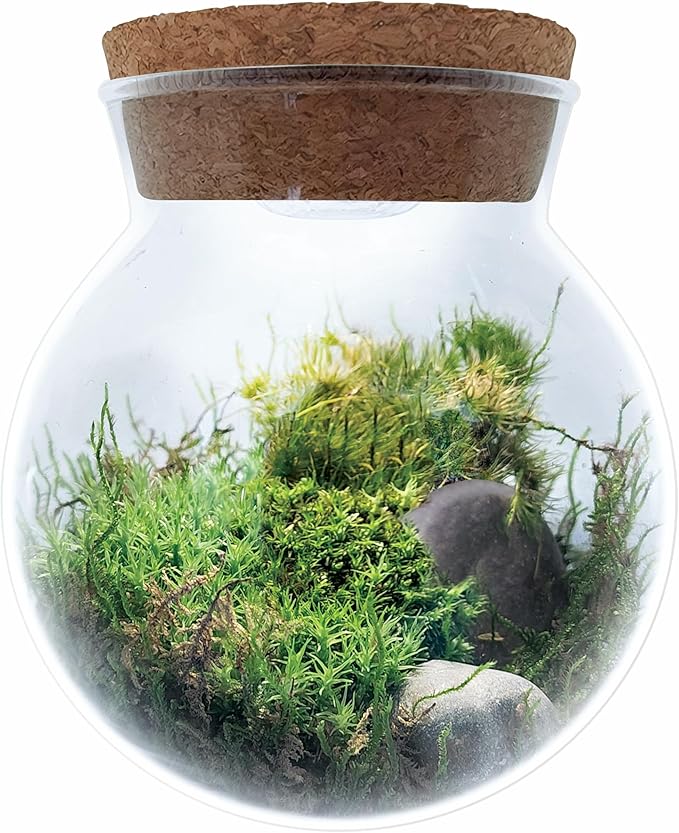 Create Your Serene Moss Sanctuary with The Unique Gardener Moss Bowl Terrarium Kit with LED Light - Complete Terrarium Supplies, Indoor Plants for Stress Relief & Air Purification!