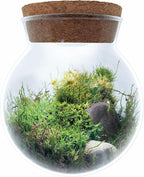 Create Your Serene Moss Sanctuary with The Unique Gardener Moss Bowl Terrarium Kit with LED Light - Complete Terrarium Supplies, Indoor Plants for Stress Relief & Air Purification!