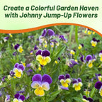 Outsidepride Johnny Jump Up Viola Wild Flower Seeds - 5000 Pcs Easy-to-Grow, Compact & Hardy Perennial Seeds for Planting Outdoors, Ideal for Pollinators, Garden Beds, Containers, & Hanging Baskets