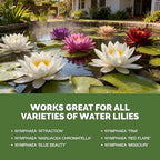 Water Lily Fertilizer – Liquid Plant Food for More Blooms, Healthy Aquatic Growth & Stronger Root Development, 8 oz