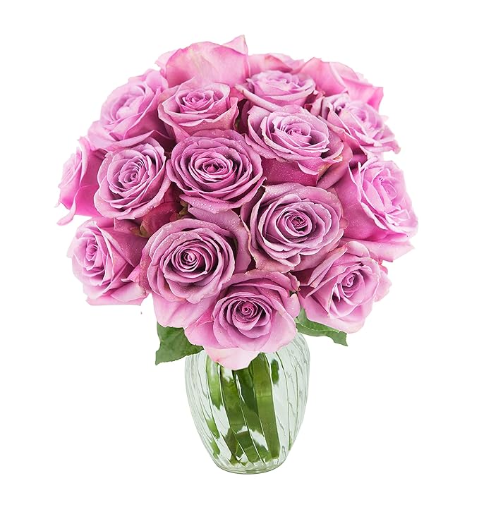 KaBloom - Bouquet of 18 Fresh Purple Roses (Farm-Fresh, Long-Stem) with Vase - Fresh Flowers for Birthday, Valentine's & Mother's Day