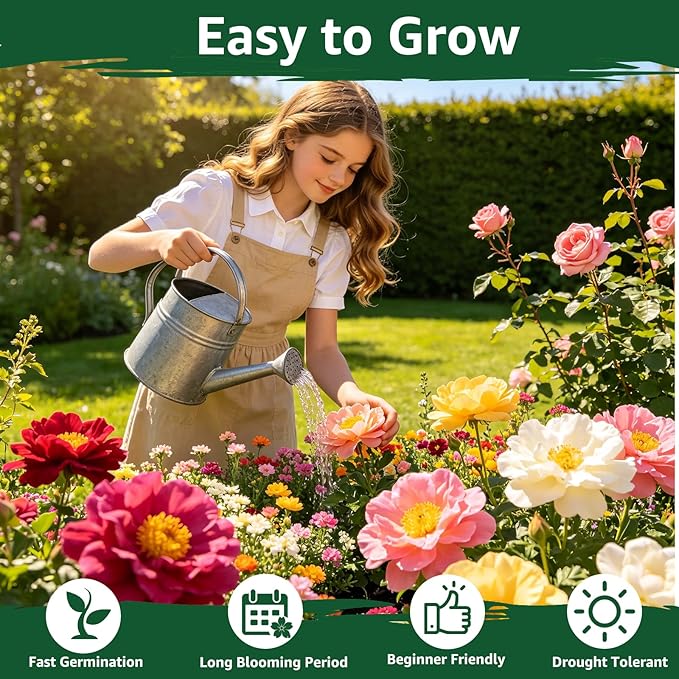 24000+ Moss Rose Seeds for Planting, Portulaca Seeds for Ground Cover, Drought Tolerant Annual Flowers for Gardens, Borders, Containers & Landscaping