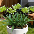 Faux Outdoor Flowers Realistic Artificial Plants 8 Bundles Plastic Flower Outside 18.9 in Fake Greenery Stems Green Flower for Pot Planter Decor Outside
