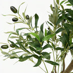 7FT Artificial Olive Tree,84 Inch Faux Olive Tree with Black Base Pot- Fake Olive Plant Potted - Artificial Silk Tree for Home Office Living Room Corner Decor Indoor-1 Pack