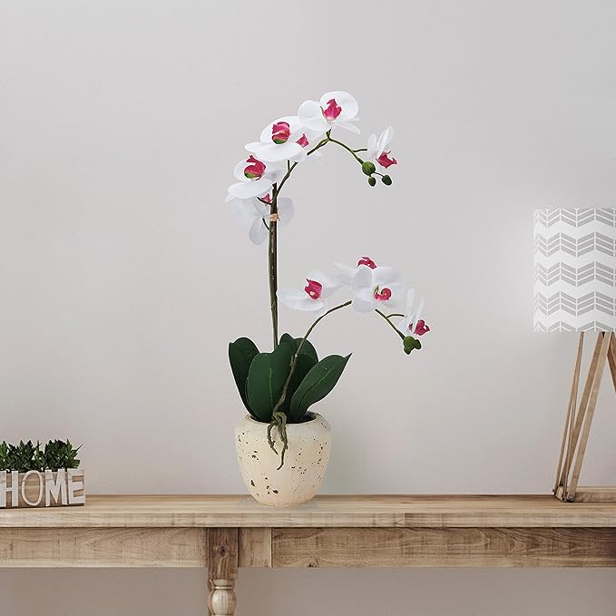 Mikasa Artificial Orchid in Pot, Real Touch Phalaenopsis Orchid, Faux Aged Cement Pot, 22-Inch Double Branch, White/Pink