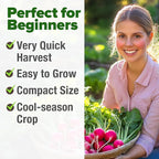 HOME GROWN 𝗨𝗦𝗔 𝗣𝗥𝗘𝗠𝗜𝗨𝗠 Cherry Belle Radish Seeds 800 & Tendersweet Carrots Seeds 2 Pack 6000