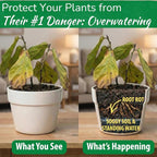 Houseplant Smart Gravel – Improve Drainage, Prevent Overwatering & Root Rot, Support Strong Roots | Eco-Friendly & Reusable Drainage Rocks for Potted Plants | Sustainably Recycled Ocean Plastic | 32oz