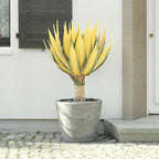 Artificial Green Edged Gold Leaf Spiny Agave Plant with 23 Leaves, 23.62in Faux Agave for Indoor & Outdoor Home Decor Perfect for Porch Living Room Bedroom Patio & Office