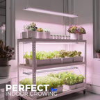 Barrina TX-L84 4FT Grow Light, 168W (2 x 84W), 4 LED Panels Wider Coverage, Full Spectrum, High PPFD, Linkable, Hanging Fixture, Plant Stand with Grow Light for Indoor, Seeding, Vegetable, 2 Packs