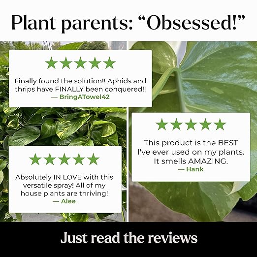Neem Oil Spray for Plants – Big Leaf Energy, with Essential Oils – Ready-to-Use Plant Spray for Outdoor & Indoor Plants, Made in USA (16 fl oz)
