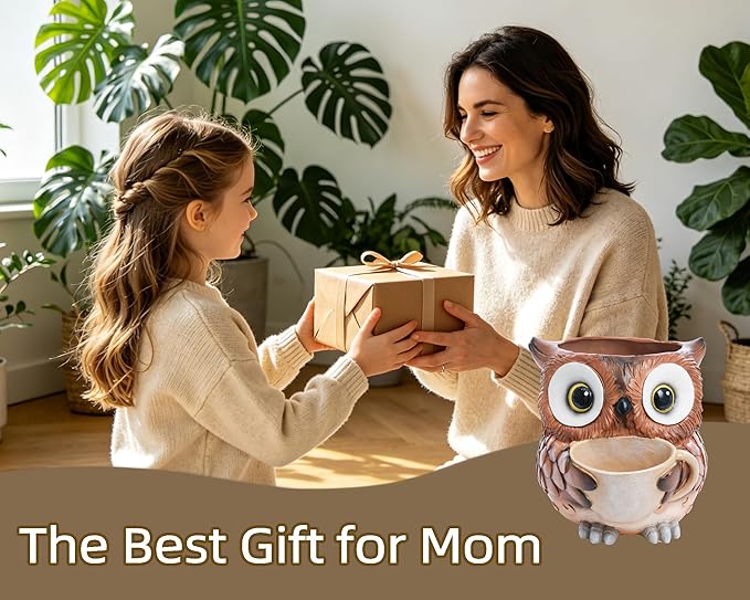 Saysmile Unique Owl Plant Pots Indoor, Cute Small Succulent Pots with Drainage Hole, Watering Owl Planters for Indoor Outdoor Plants, Resin Flower Pot for String of Pearls, Gift Ideas for Mother