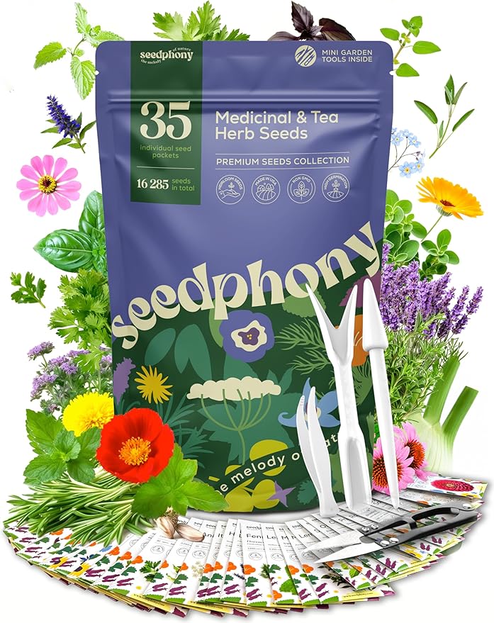 Seedphony 35 Medicinal & Tea Herb Seeds Variety Pack - 16,285+ Non-GMO Heirloom Herbs Seeds for Planting Indoor & Outdoor: Lavender, Rosemary, Echinacea, Mint, Catnip, Basil - Gardening Seed Packets