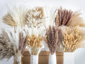 650PCS Natural Dried Pampas Grass Boho Home Decor Bouquet Phragmites Dried Flowers Bouquet for Wedding Floral Arrangements Home Decorations (650PCS)