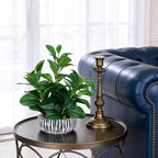 NASAMA Realistic Artificial Potted Plant, Faux Indoor Greenery for Home Office Living Room Bookshelf Bathroom Decor, Low--Maintenance Space-Saving Fake Plants with Modern Decorative Vase