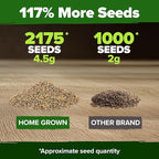 HOME GROWN Non GMO Arugula Roquette Seeds Pack 2,175 Heirloom Arugula Seeds for Planting Best for Outdoor Gardens,Providing Fast-Growing Greens for Salads - Eruca vesicaria
