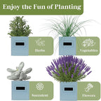 PERFNIQUE Indoor Herb Garden, Herb Garden Planter Set with Tray, Farmhouse Indoor Plant Pots, Windowsill Herb Garden with Drainage(Planter only) for Indoor/Outdoor, Window Pots(Sky Blue)