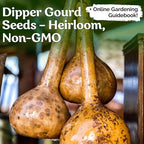 KVITER 10 Dipper Gourd Seeds (Lagenaria Siceraria) – Long Handle Dipper Gourd, Heirloom Seeds Non GMO Organic – Perfect Gourds for Crafts – Great for Outdoor Vegetable Garden, Containers & Trellises