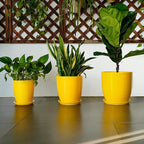 Ceramic Plant Pot - 8 Inch Planter Pot with Drainage Hole and Saucer Round Planter for Indoor Outdoor Plants Flower Pot for Home Patio Garden Office Yellow