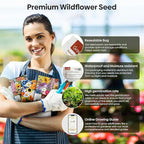All Perennial Wildflower Seeds Bulk, 1/4 lb, 100,000+ Seeds, 26 Variety Mix with Milkweek, California Blue Bell, Attracts Pollinators, Plant in Spring or Fall, Zones 3, 4, 5, 6, 7, 8, 9, 10