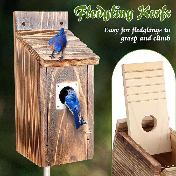 Dreyoo 2 Pack Bluebird Box Houses for Outside,1-1/2'' Entrance Hole Wooden Bird Houses with Metal Guard, Secure Latch,Fledgling Grooves,Air Vents for Bluebird Wren Swallow(Burnt Wood)