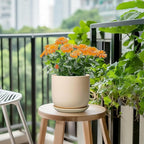 Ceramic Plant Pot - 7 Inch Mid Century Round Ceramic Planter for Indoor Plants with Drainage Hole and Saucer, Modern Home Decor, Yellow