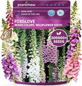 Foxglove Seeds Perennial – Mixed Colors, 200,000+ Seeds Bulk Pack for Easy-to-Grow Home Gardening, Tall Spire Blooms for Garden Borders, Attract Hummingbirds & Bees